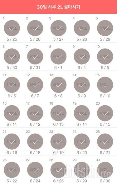 30일 하루 2L 물마시기 30일차 성공!