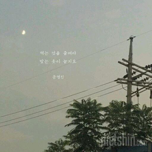 [다신8기 필수미션 월요일 완료]