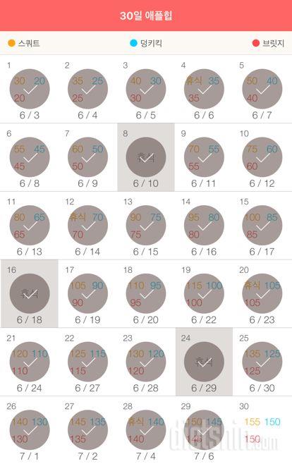 30일 애플힙 29일차 성공!