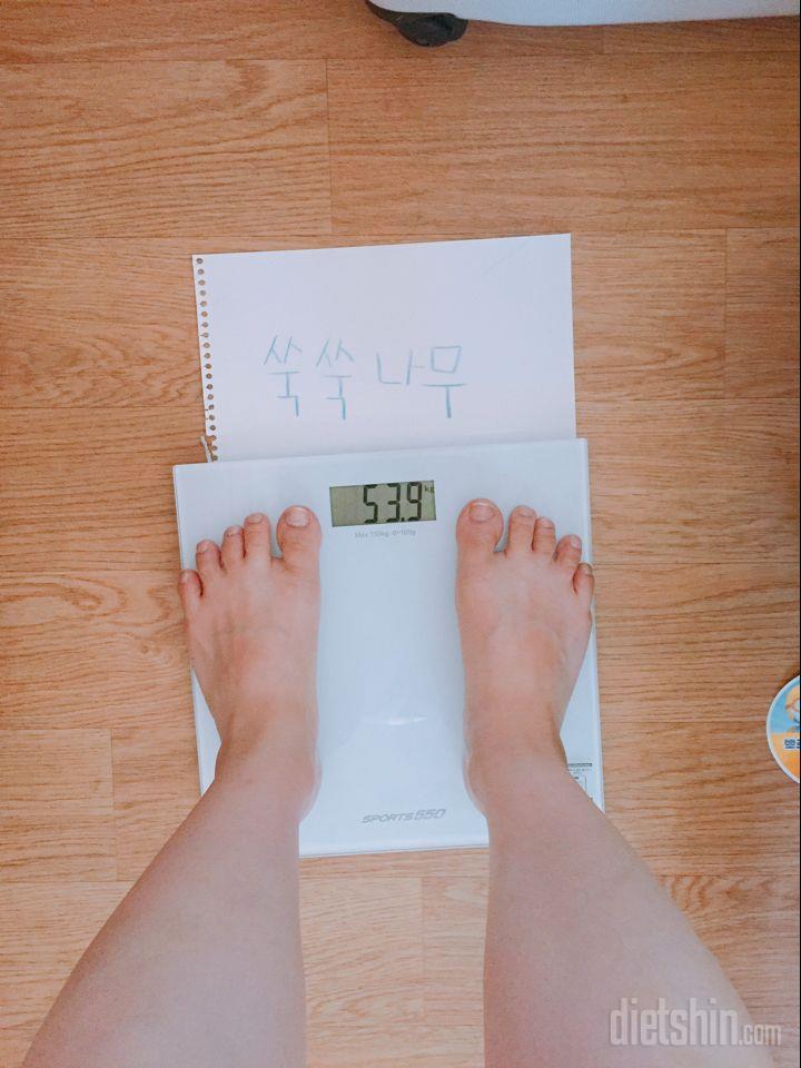 [다신8기] 몸무게인증&전신사진 등록