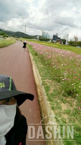 걷기운동 12km넘게ㅡㅡ;