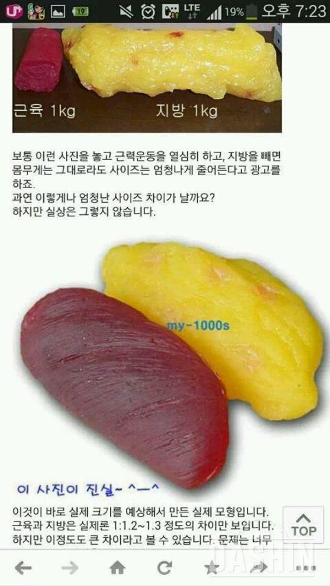 (다이어트) 음식소량섭취+탄수화물제한=요요