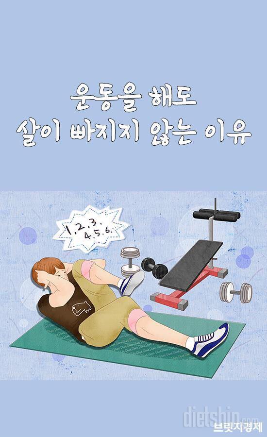 운동을 해도 살이 안 빠지는 이유