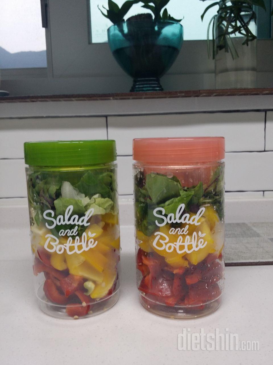 샐러드 보틀