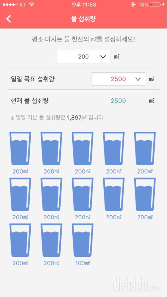 30일 하루 2L 물마시기 13일차 성공!