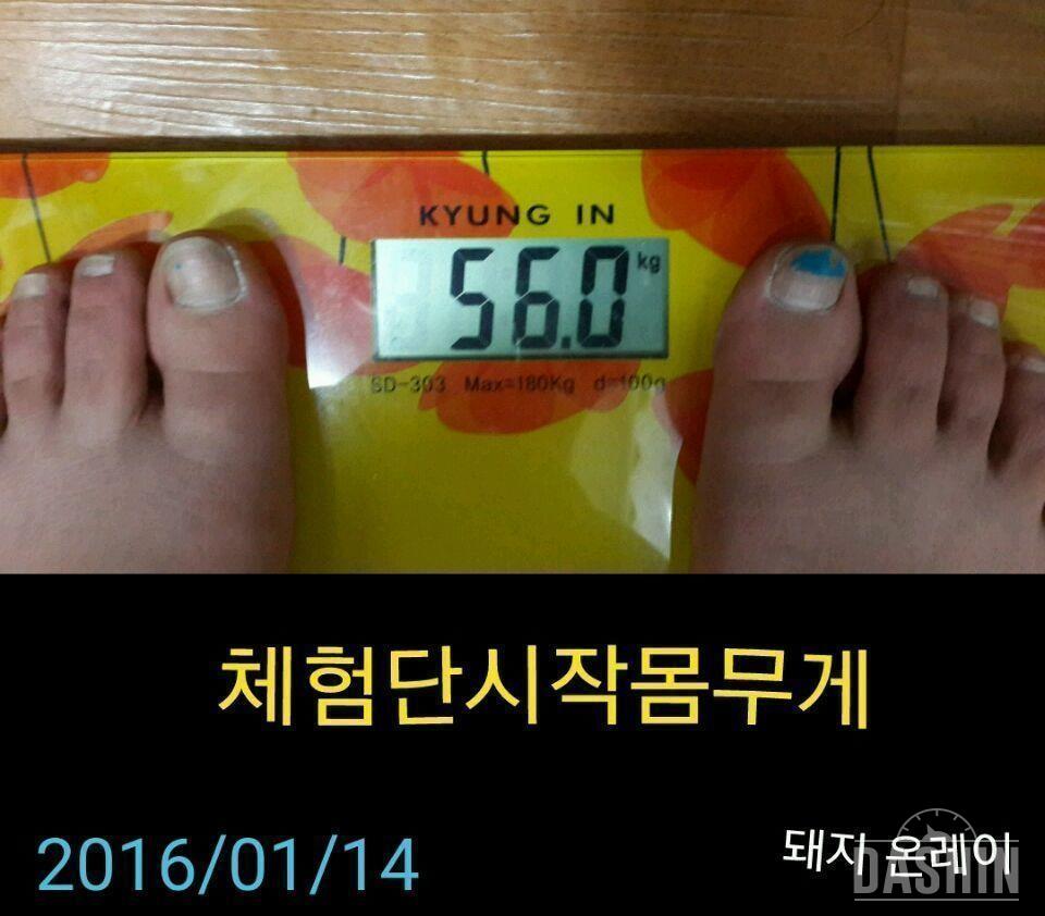 잇쉐키2일차💚0.9kg감량&식단(777kcal)