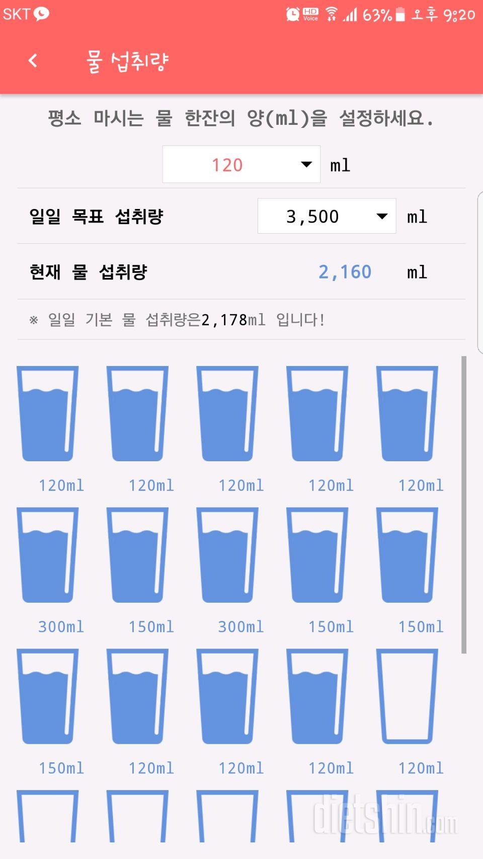 30일 하루 2L 물마시기 78일차 성공!