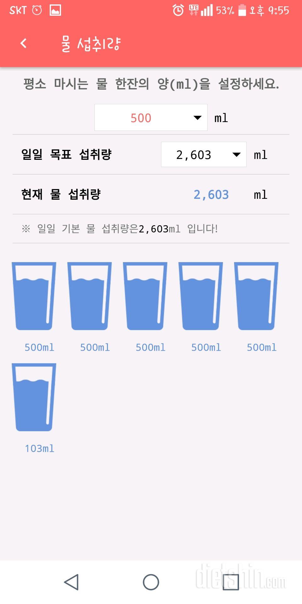 30일 하루 2L 물마시기 2일차 성공!