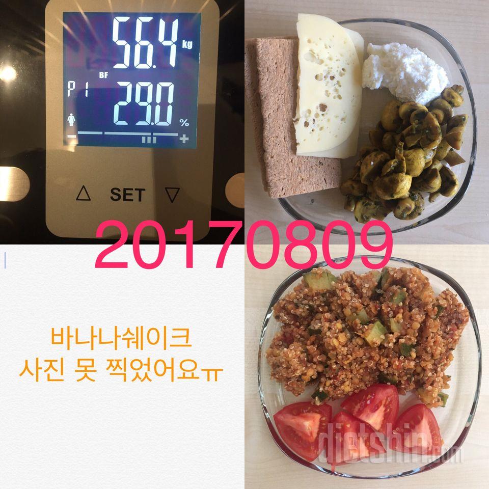 170809 식단+공복체중