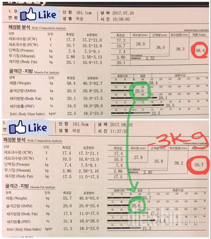 15일 중간점검 (-3kg)