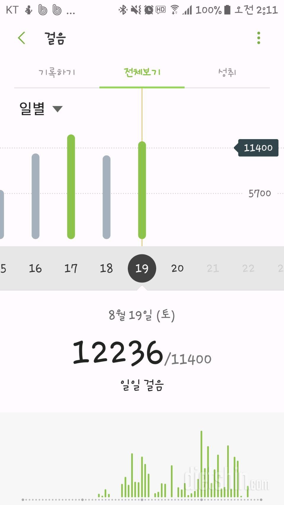 30일 만보 걷기 21일차 성공!