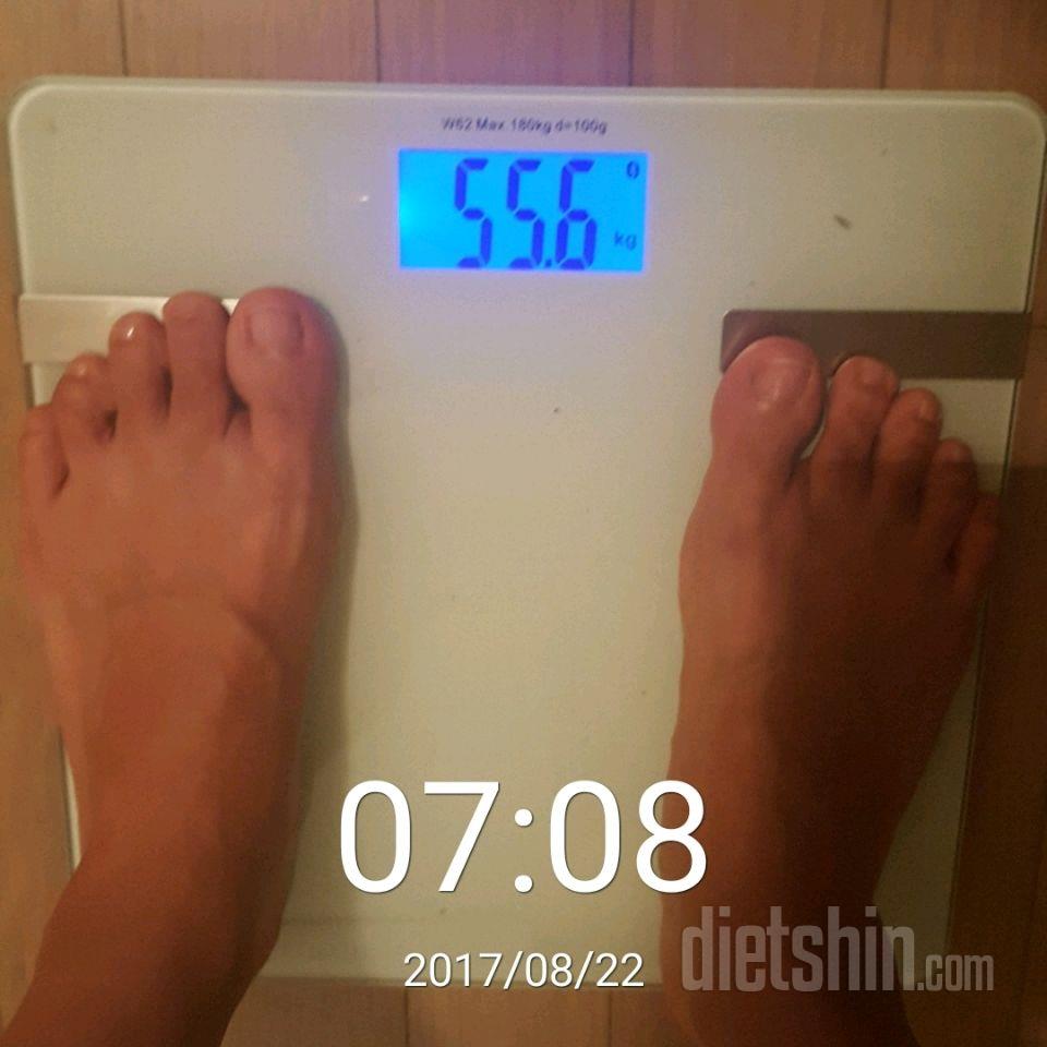 8.22🐙아침겸 공체