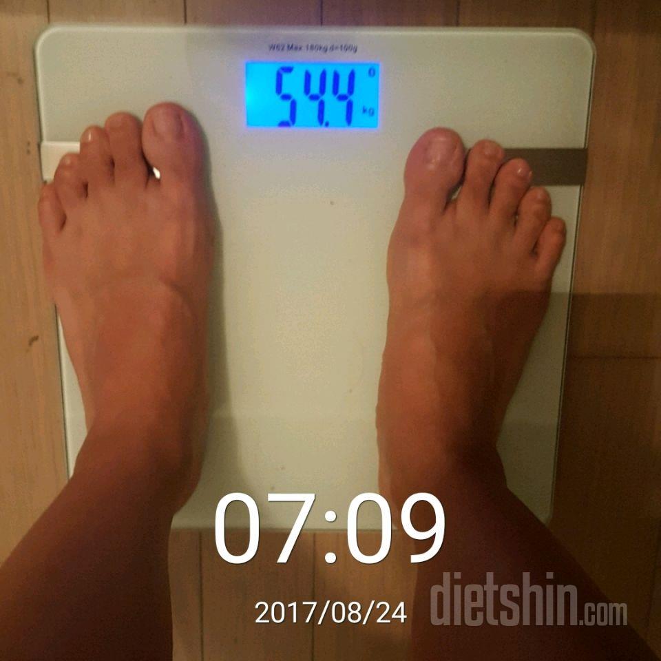 8.24🐙아침겸 공체