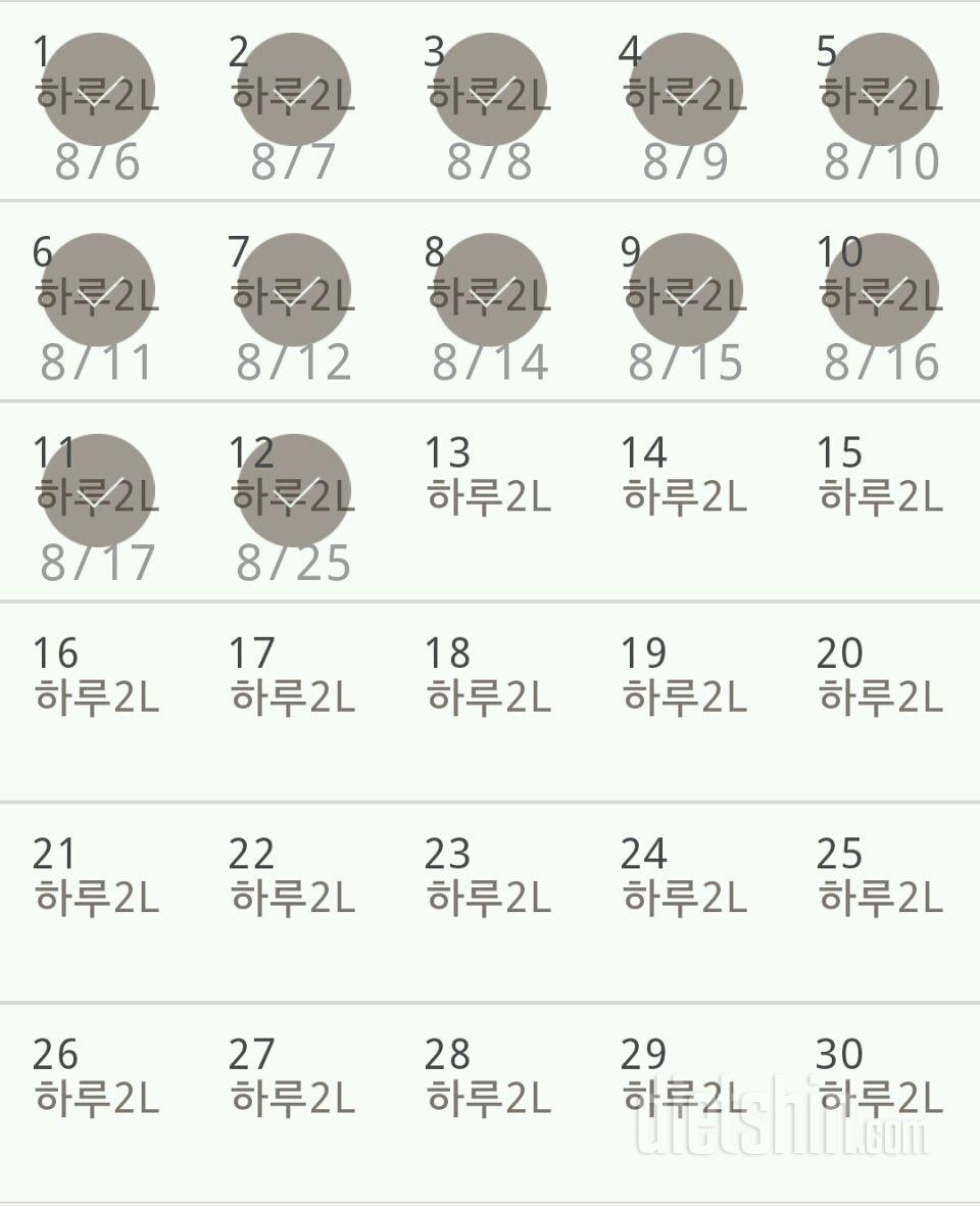 30일 하루 2L 물마시기 12일차 성공!