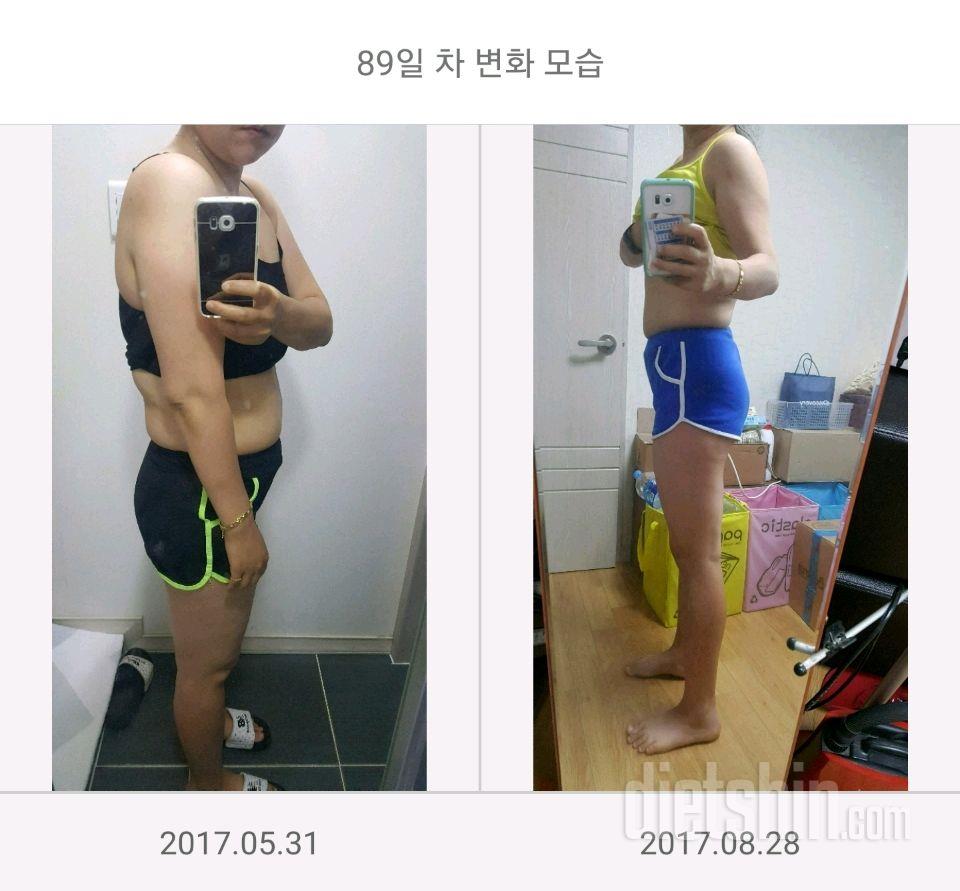 팔라인도전후기