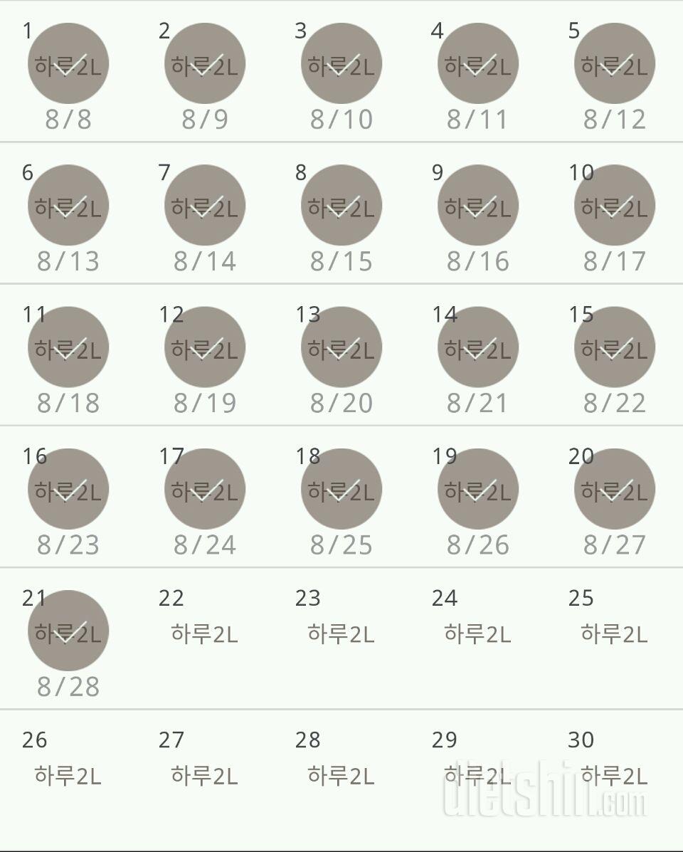 30일 하루 2L 물마시기 21일차 성공!