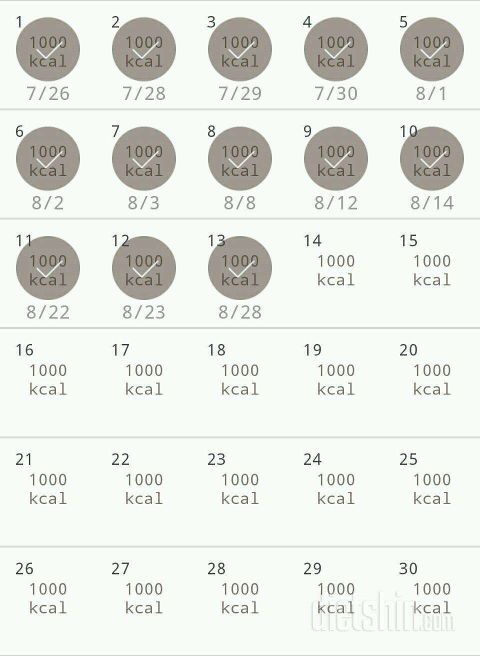 30일 1,000kcal 식단 13일차 성공!