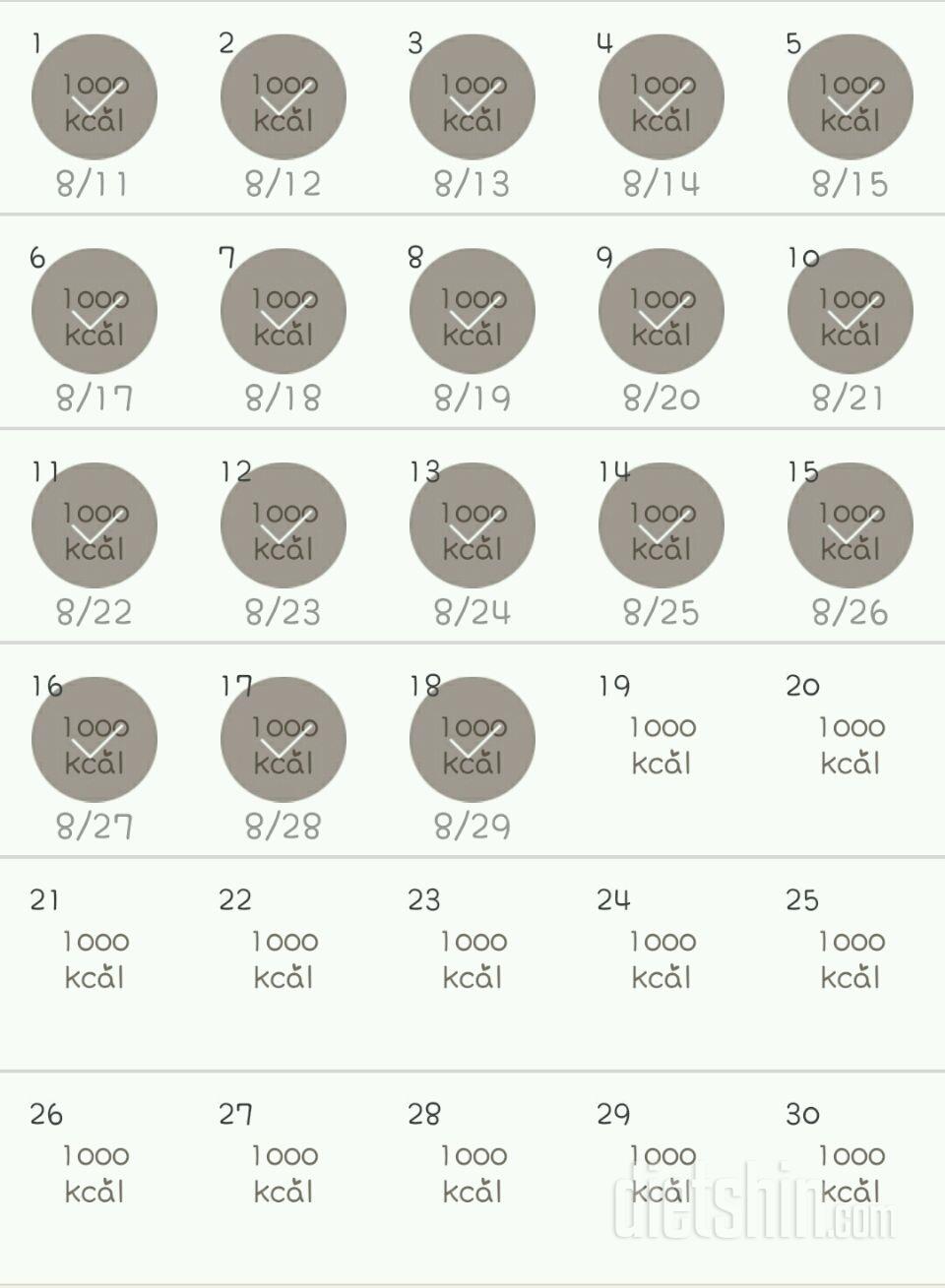 30일 1,000kcal 식단 78일차 성공!