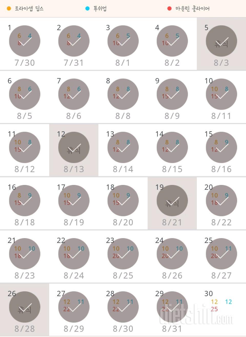 30일 슬림한 팔 29일차 성공!