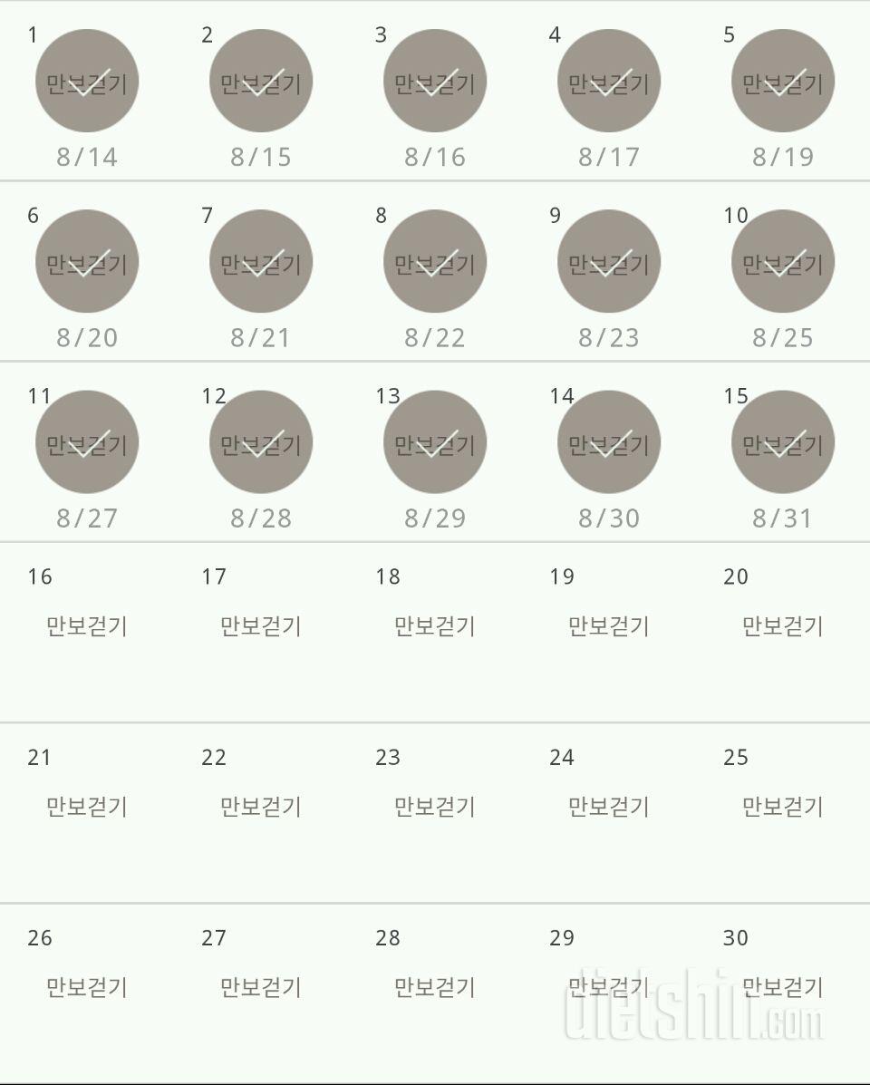 30일 만보 걷기 15일차 성공!