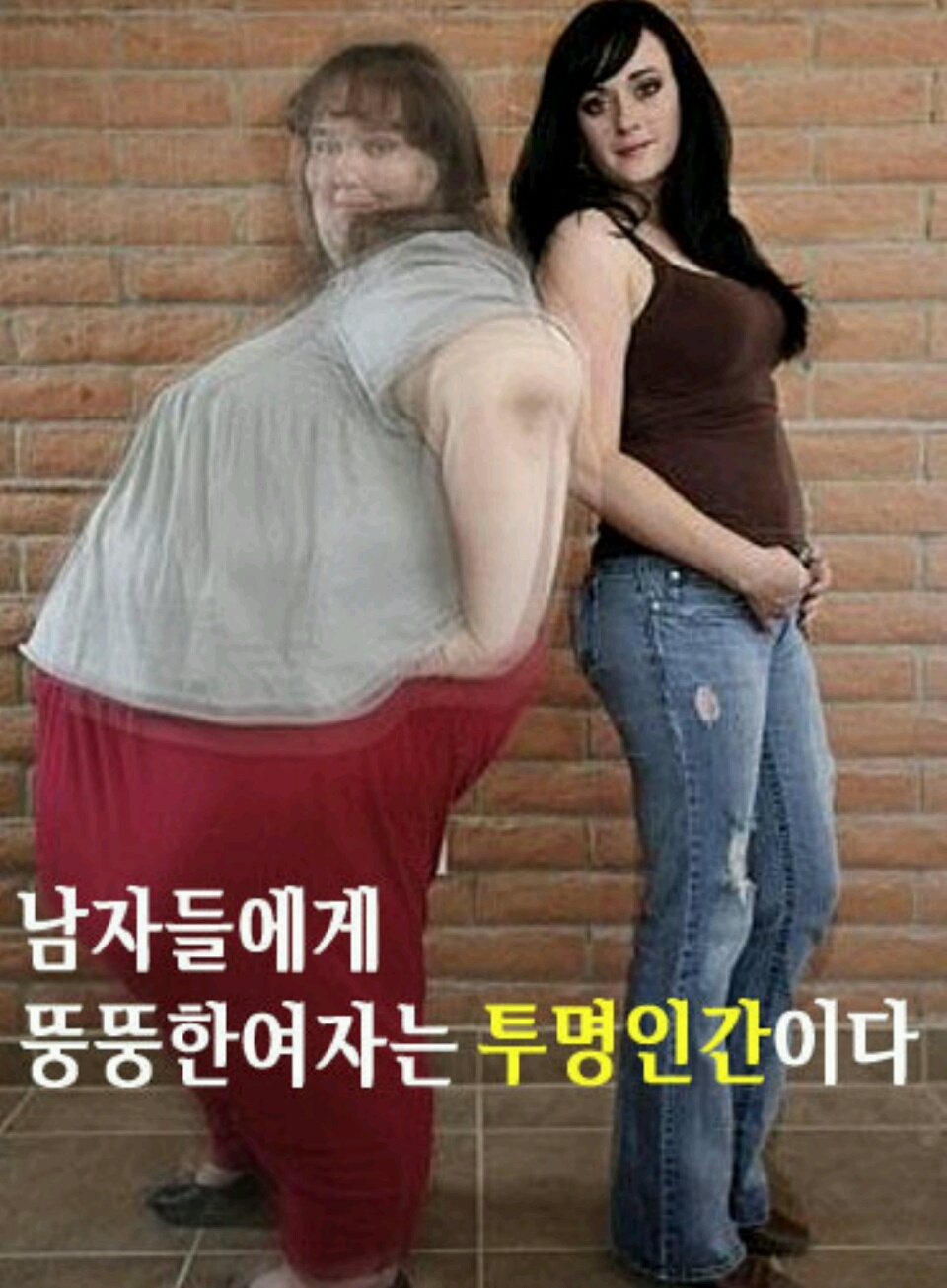 자극사진