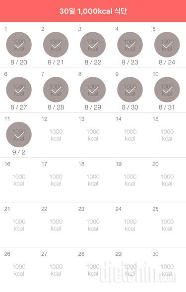 30일 1,000kcal 식단 41일차 성공!