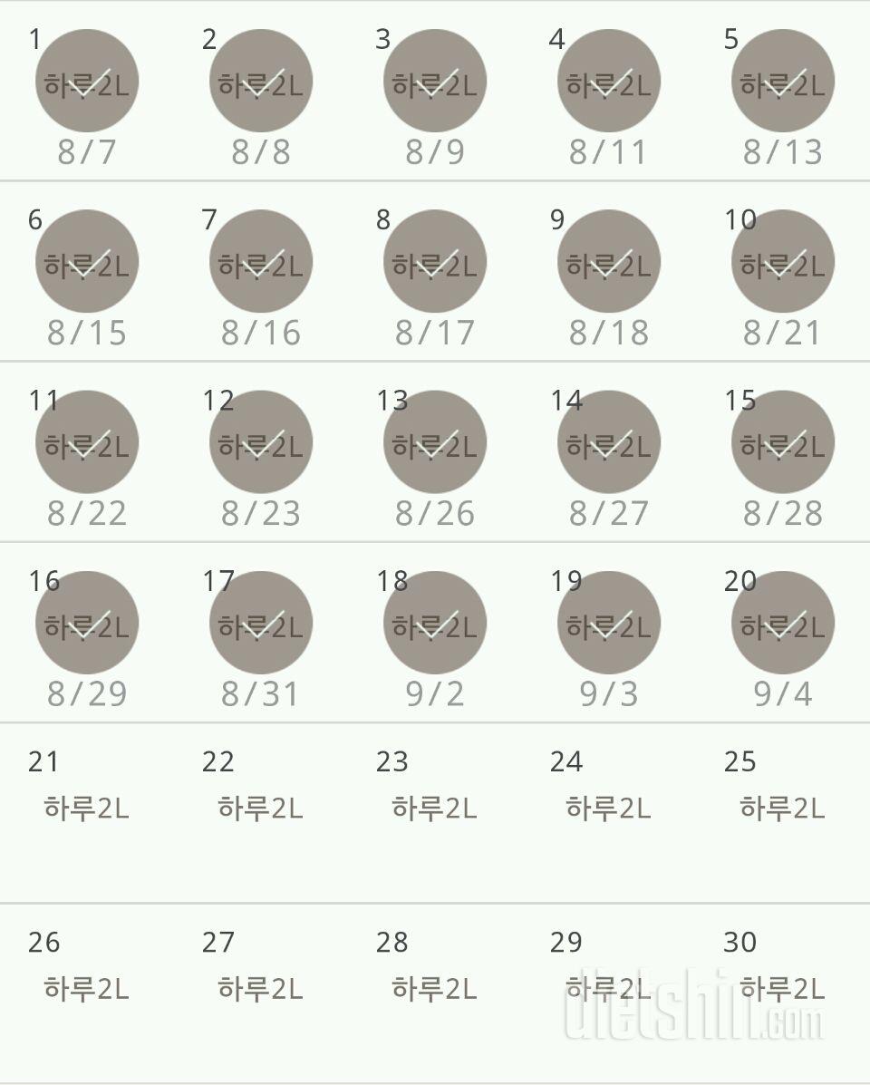 30일 하루 2L 물마시기 20일차 성공!