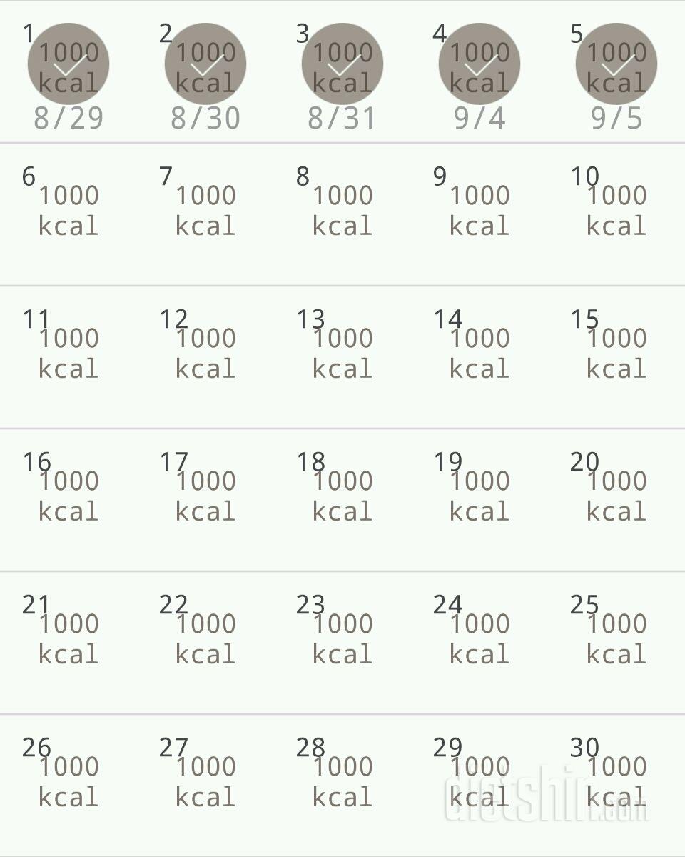 30일 1,000kcal 식단 5일차 성공!