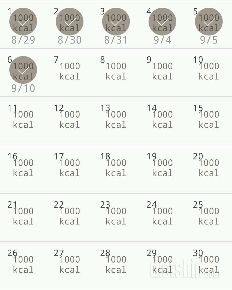 30일 1,000kcal 식단 6일차 성공!