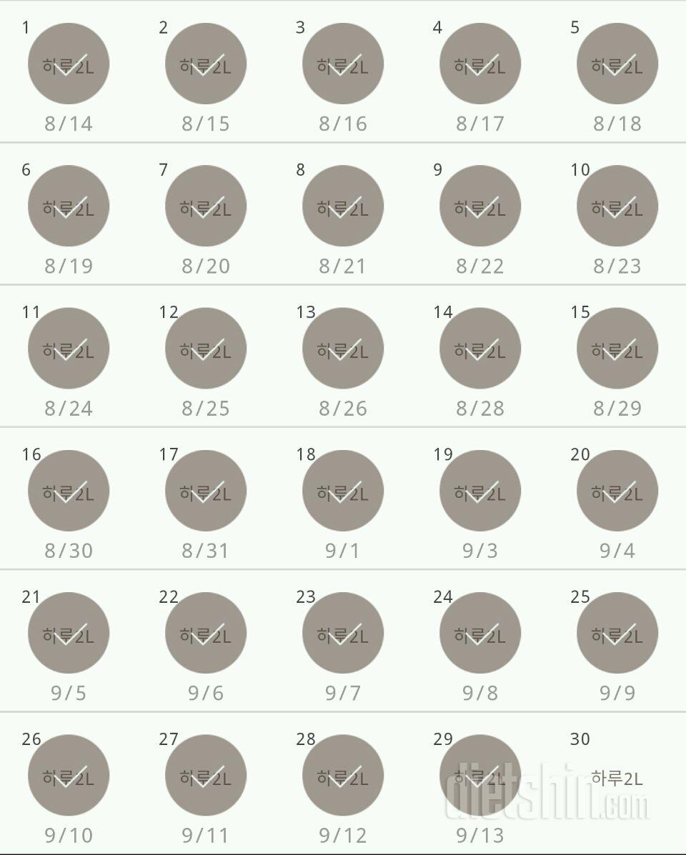 30일 하루 2L 물마시기 29일차 성공!