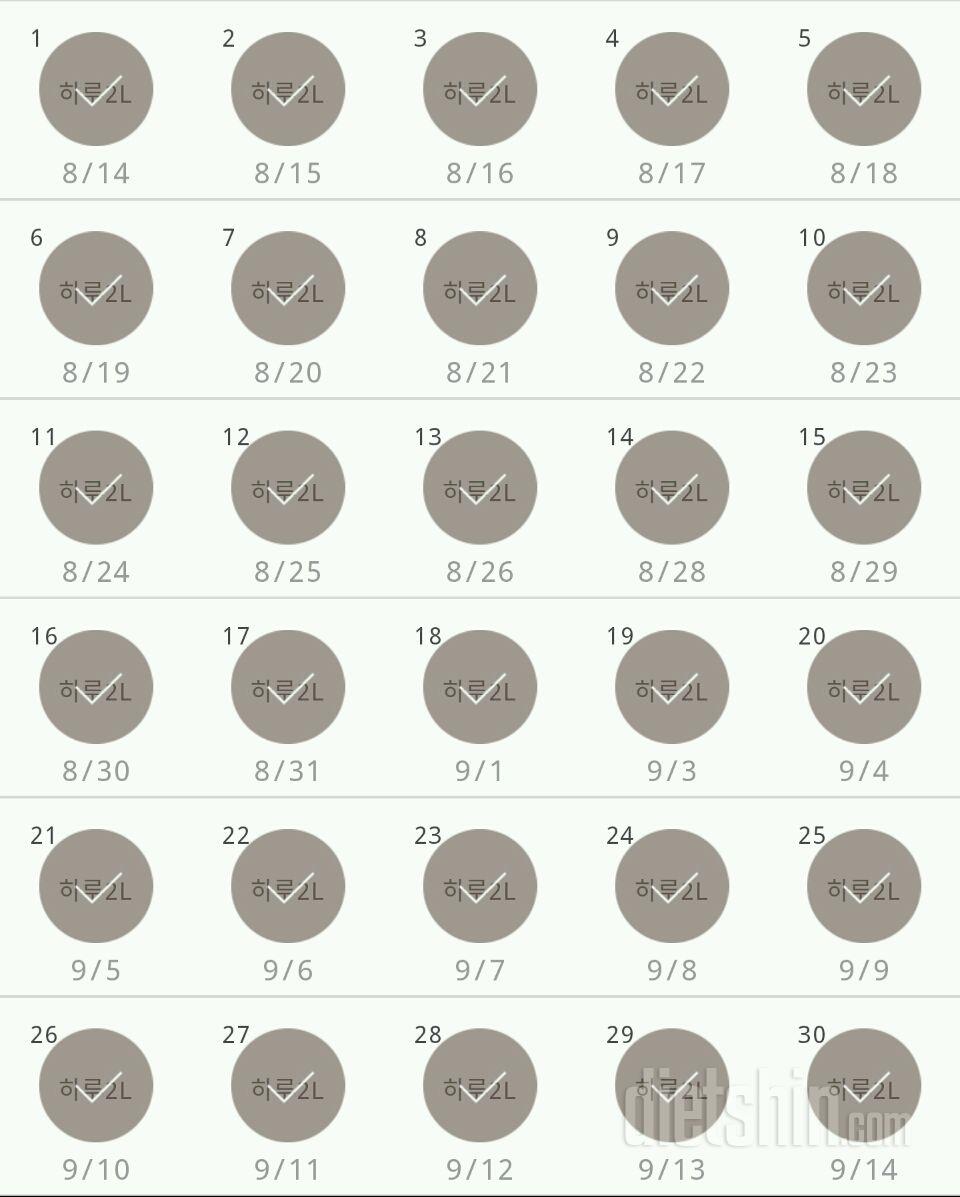 30일 하루 2L 물마시기 30일차 성공!