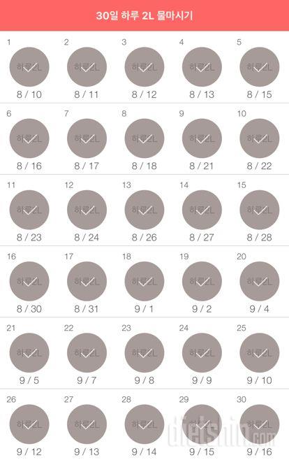 30일 하루 2L 물마시기 30일차 성공!