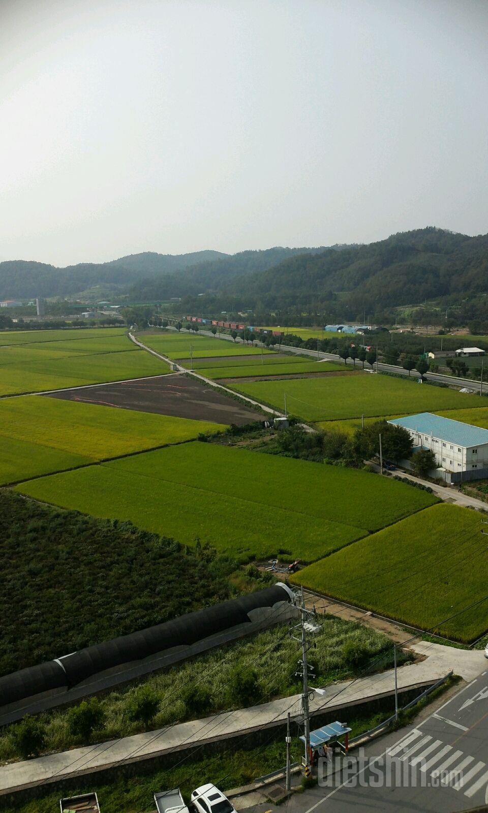 굿모닝~(오늘은등산콜)