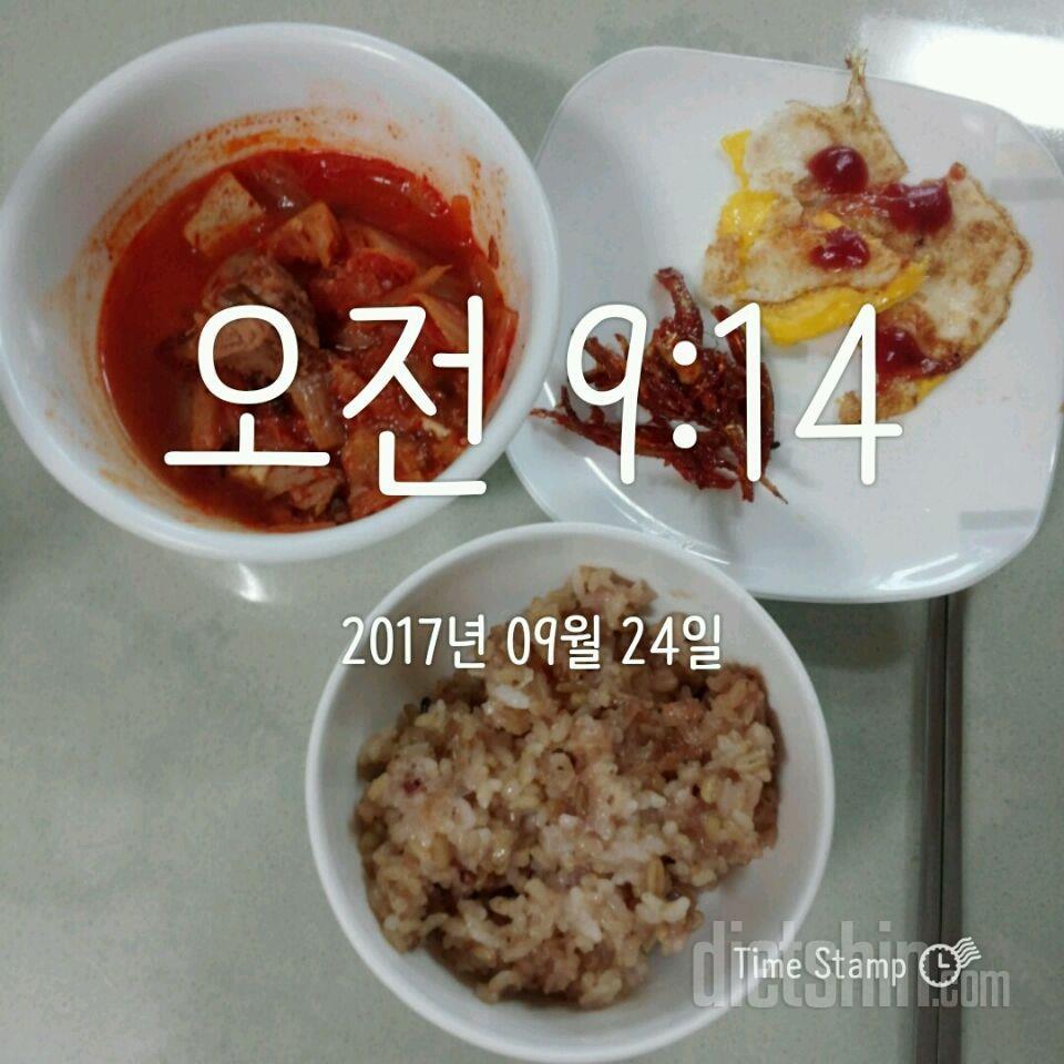 9.24 일 아침 공체