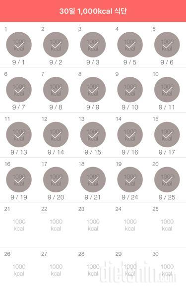 30일 1,000kcal 식단 20일차 성공!