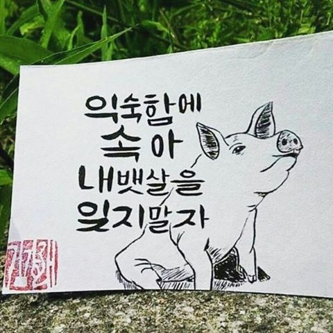 다이어트 자극 문구!!