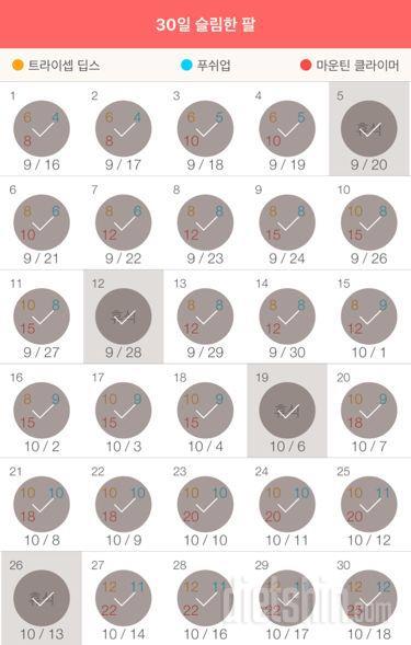 30일 슬림한 팔 150일차 성공!