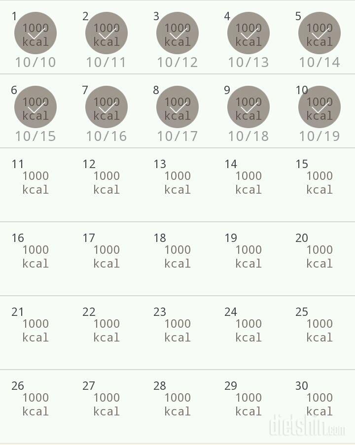 30일 1,000kcal 식단 10일차 성공!