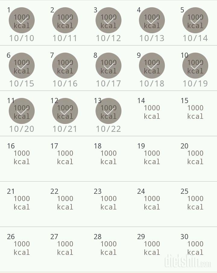 30일 1,000kcal 식단 13일차 성공!