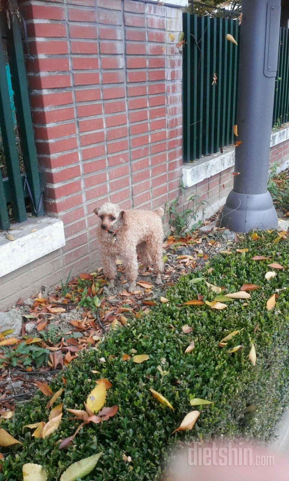 오늘하루도 잘보냈다