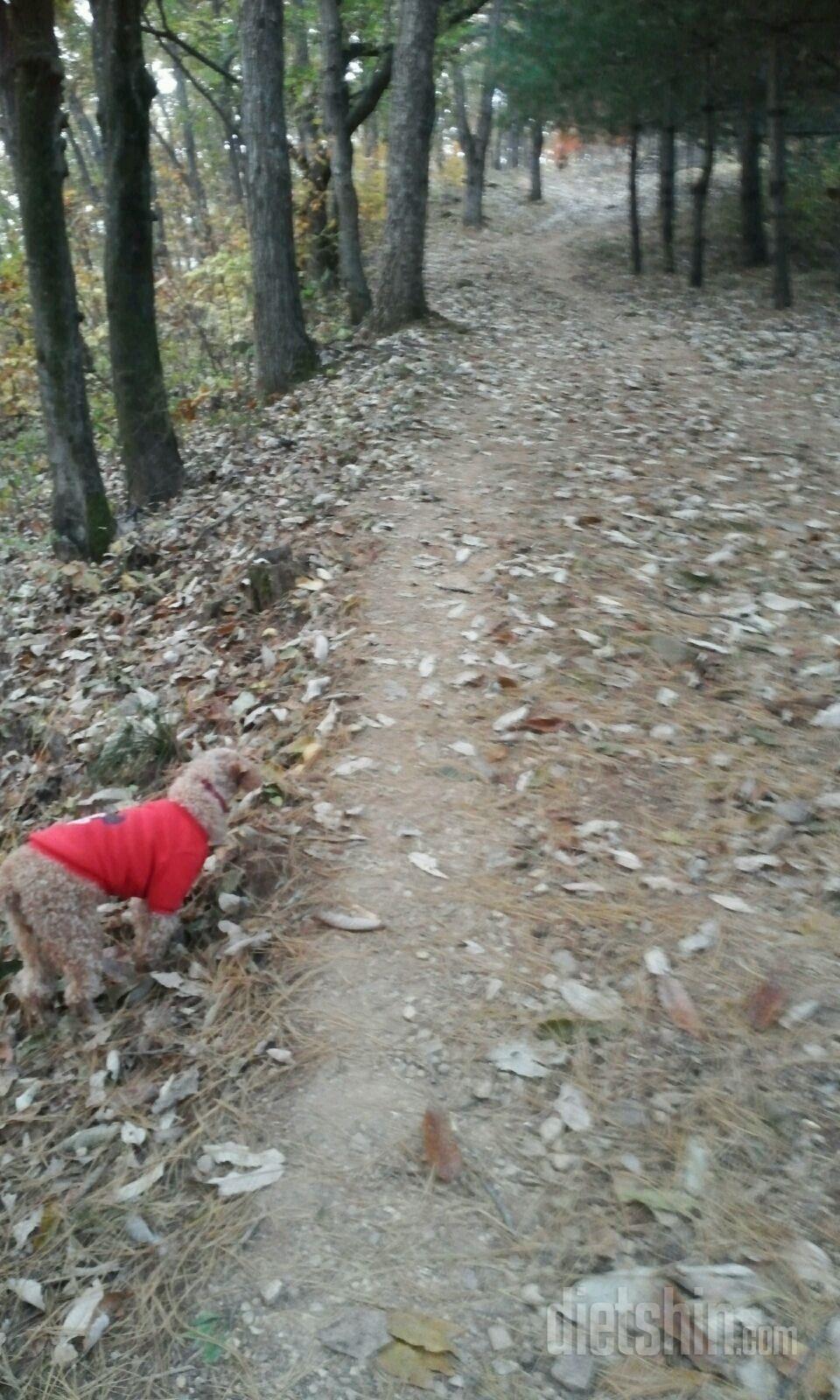 가입인사드려요