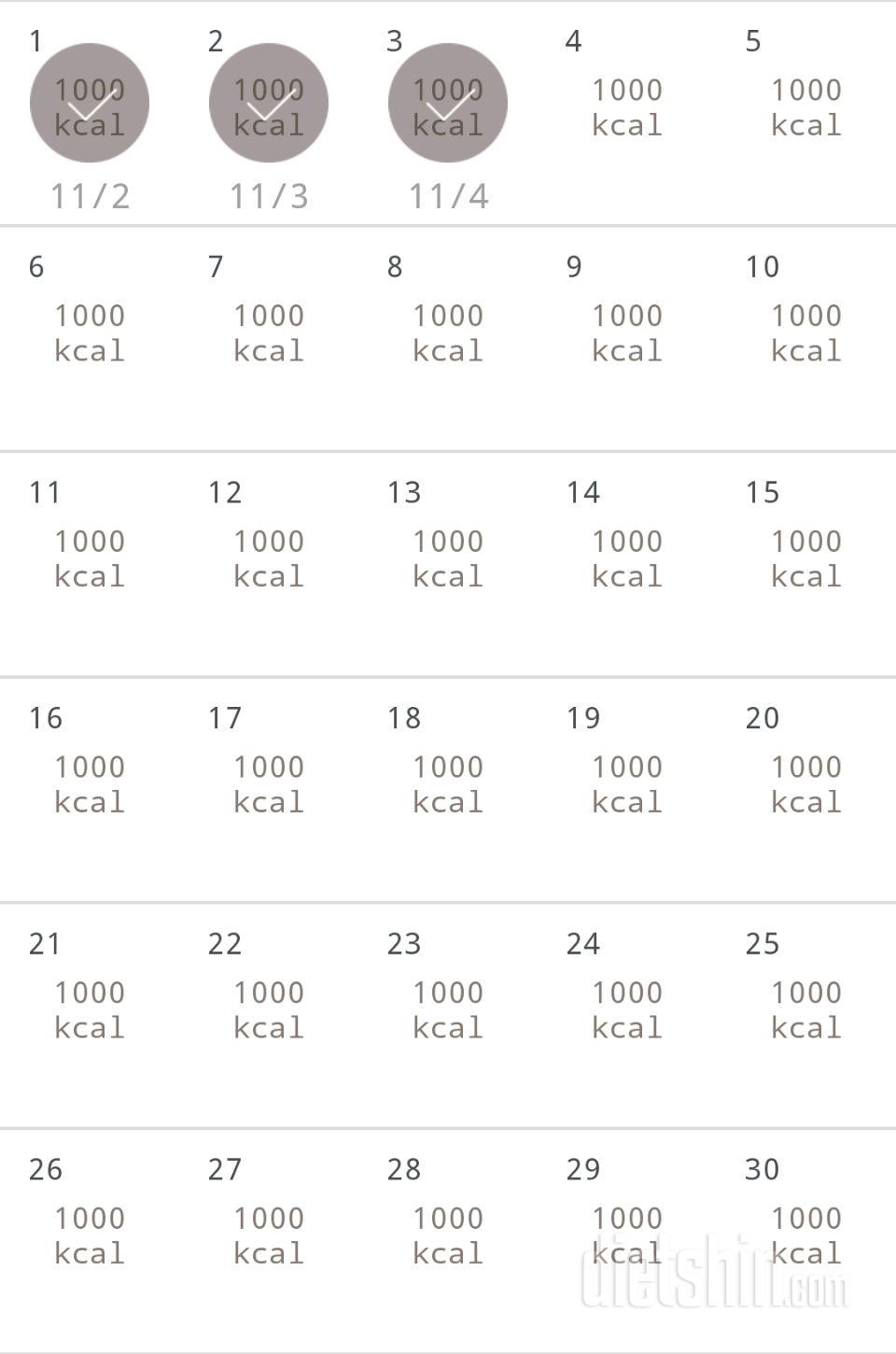 30일 1,000kcal 식단 33일차 성공!