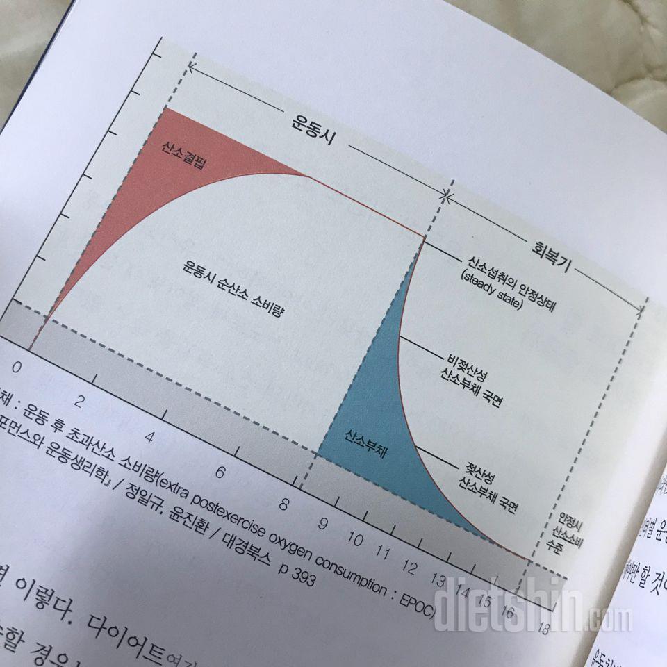 [ 서평 ] 인류 최대의 과제 다이어트