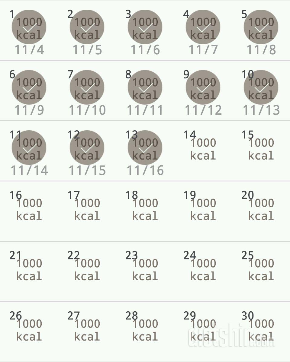 30일 1,000kcal 식단 13일차 성공!