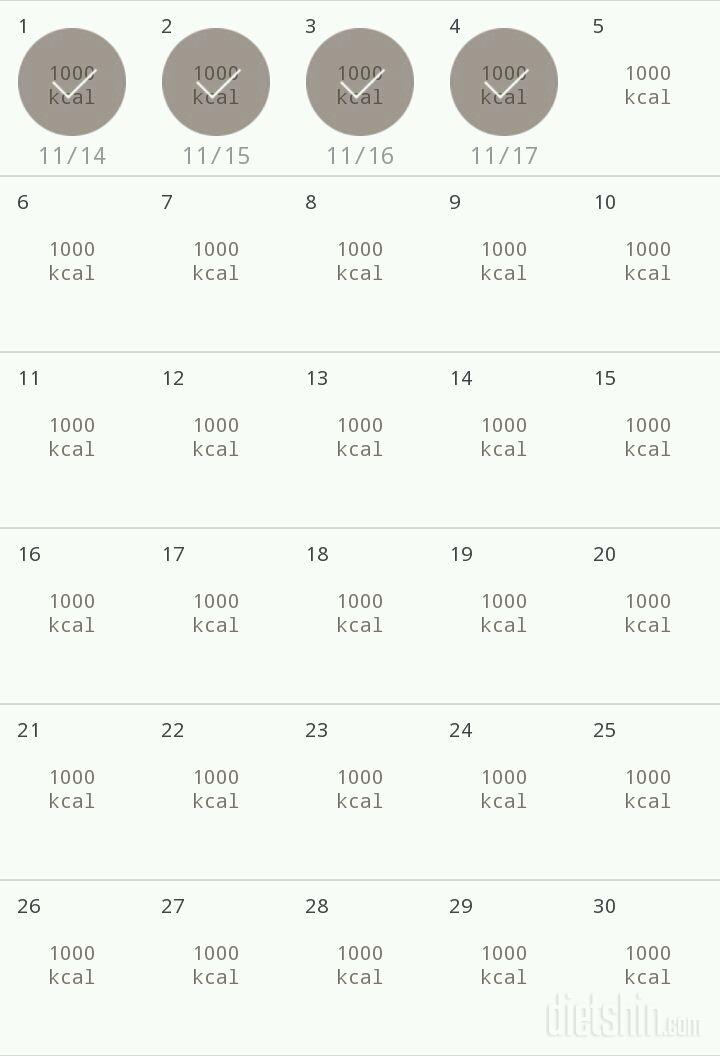 30일 1,000kcal 식단 4일차 성공!