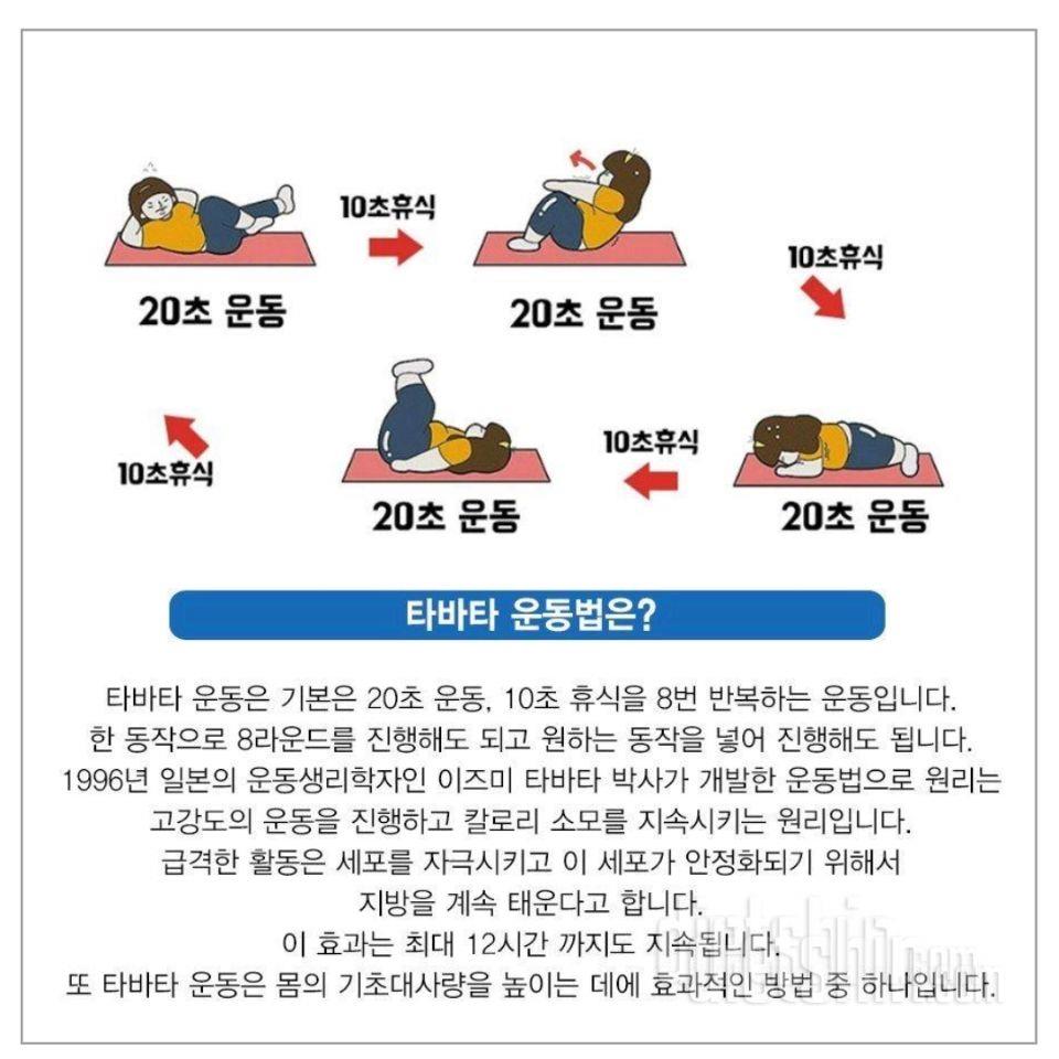 매일 아침마다 해야할 것!