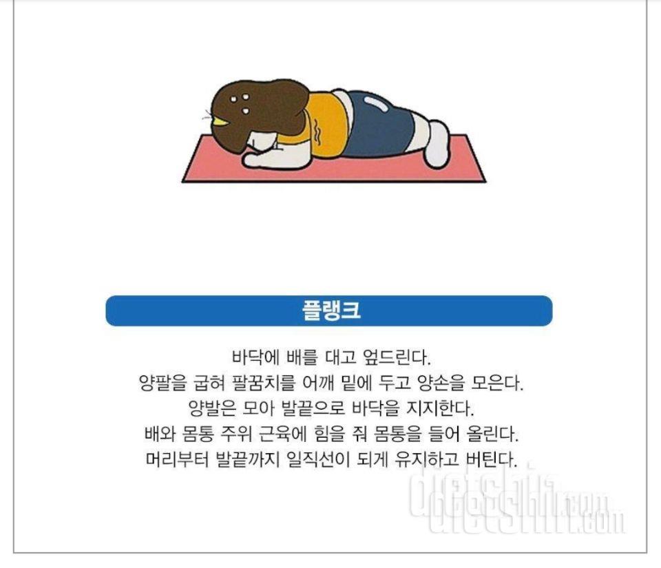 매일 아침마다 해야할 것!