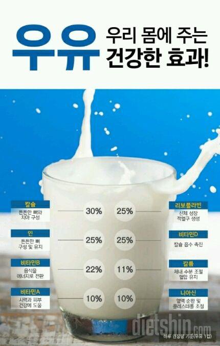 우유가 우리몸에주는 건강한 효과