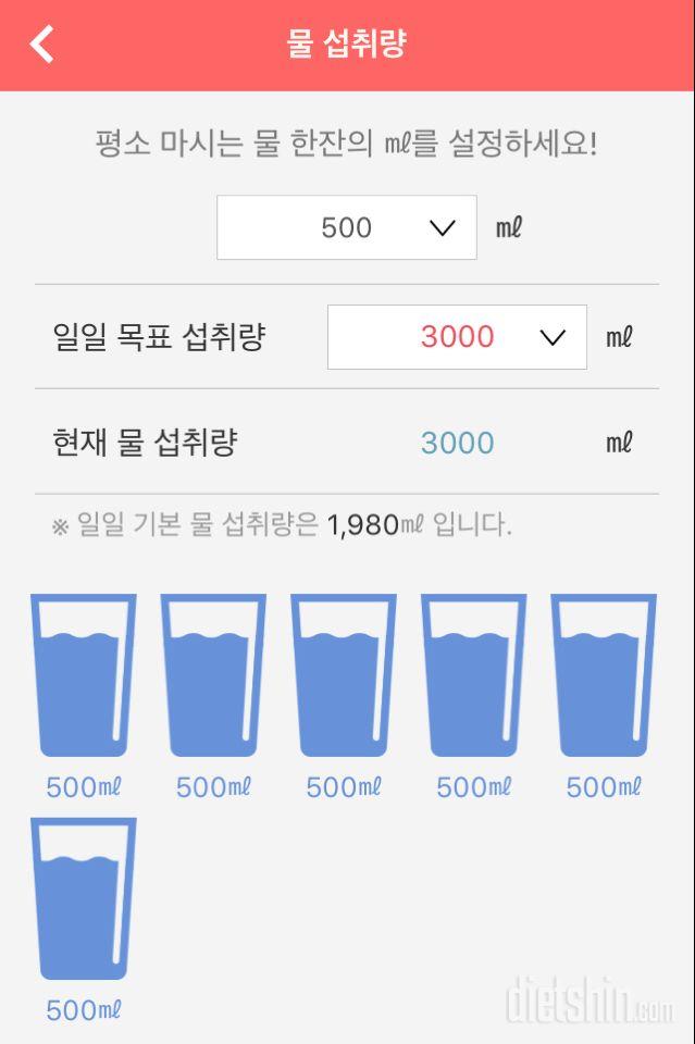 30일 하루 2L 물마시기 12일차 성공!