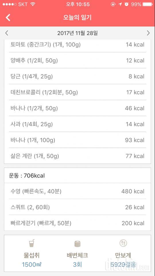 11월 28일 운동 및 식단